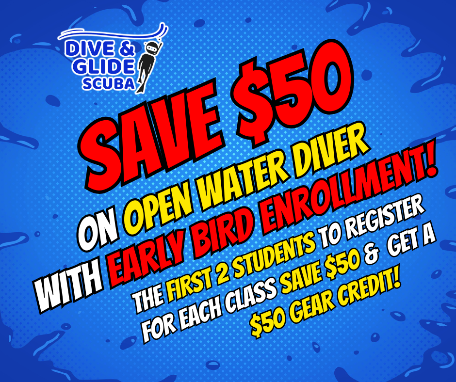 Open Water Diver course preview