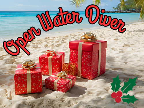 Open Water Diver Course special