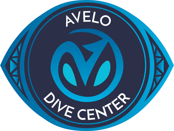Avelo Dive Center Badge