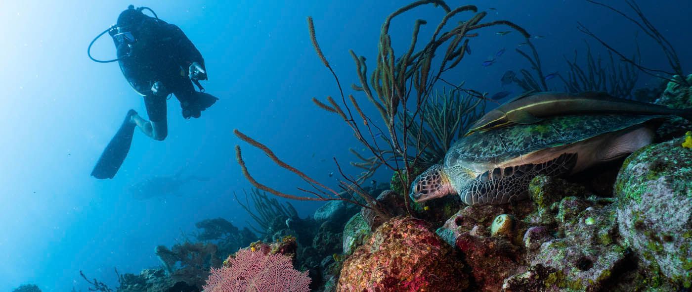Tropical Caribbean scenery in Roatan