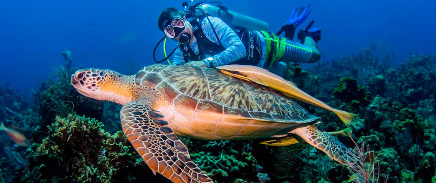 Scuba diving in Roatan Honduras