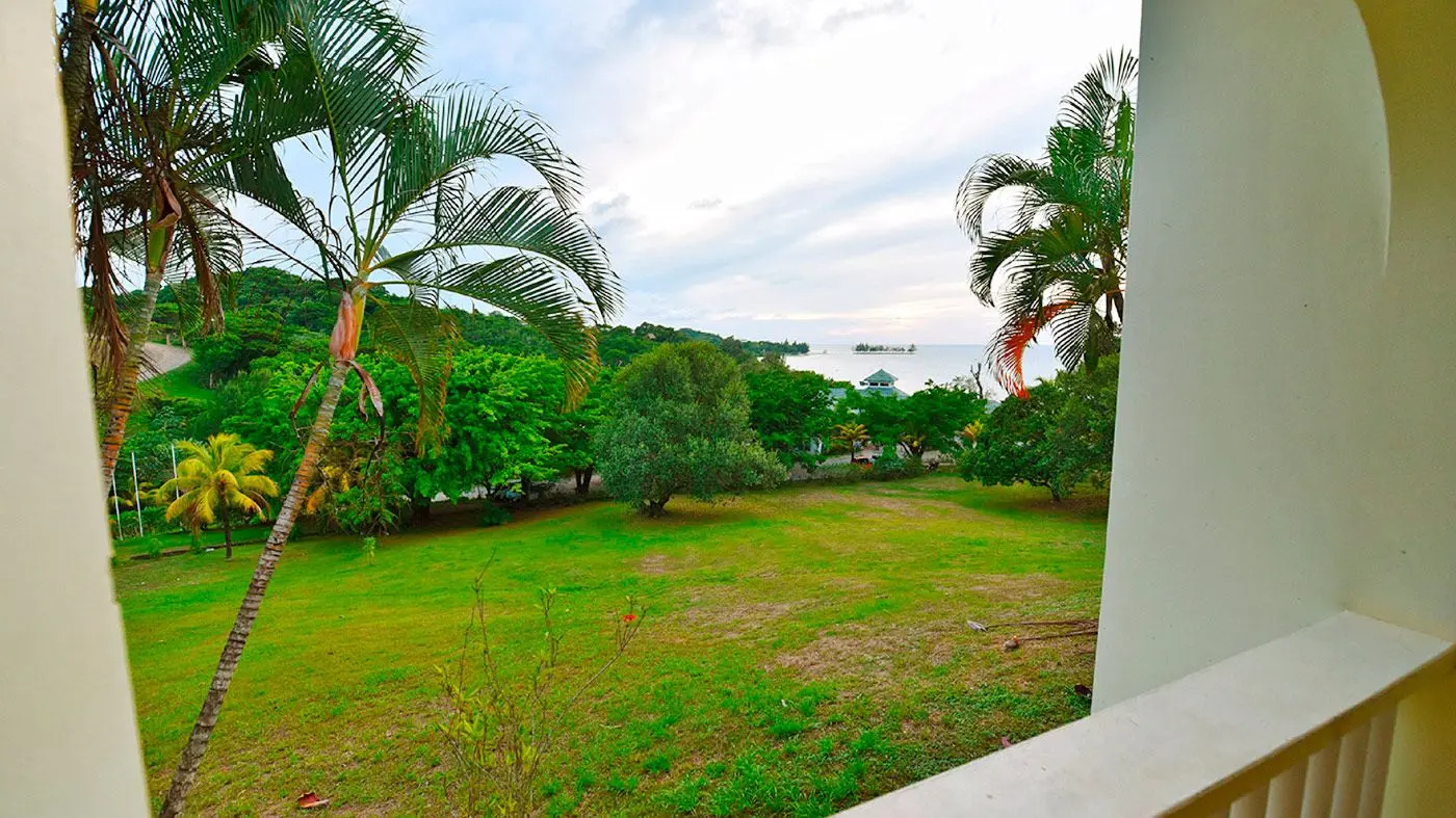 Tropical hillside scenery at Turquoise Bay Roatan