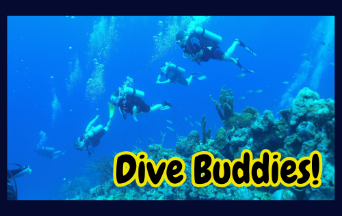 Are You a Good Dive Buddy?