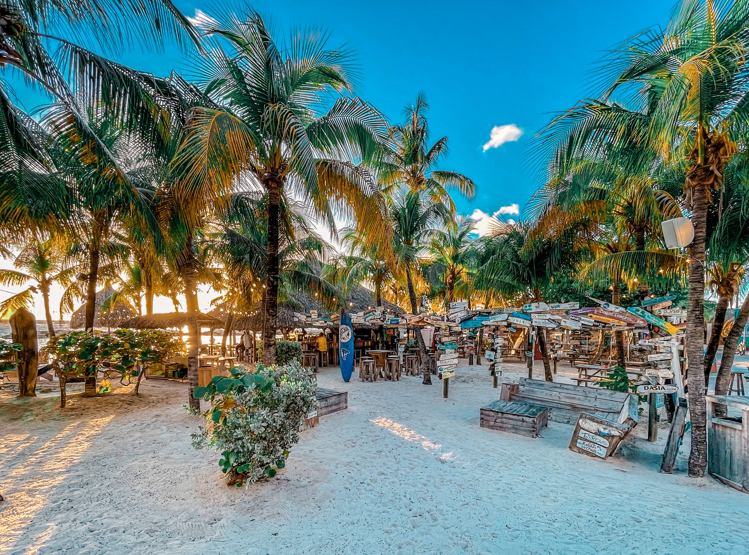 Beach and palm trees at LionsDive Beach Resort Curaçao