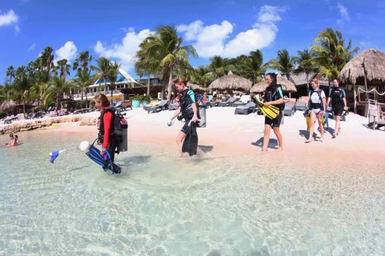 LionsDive diving beach