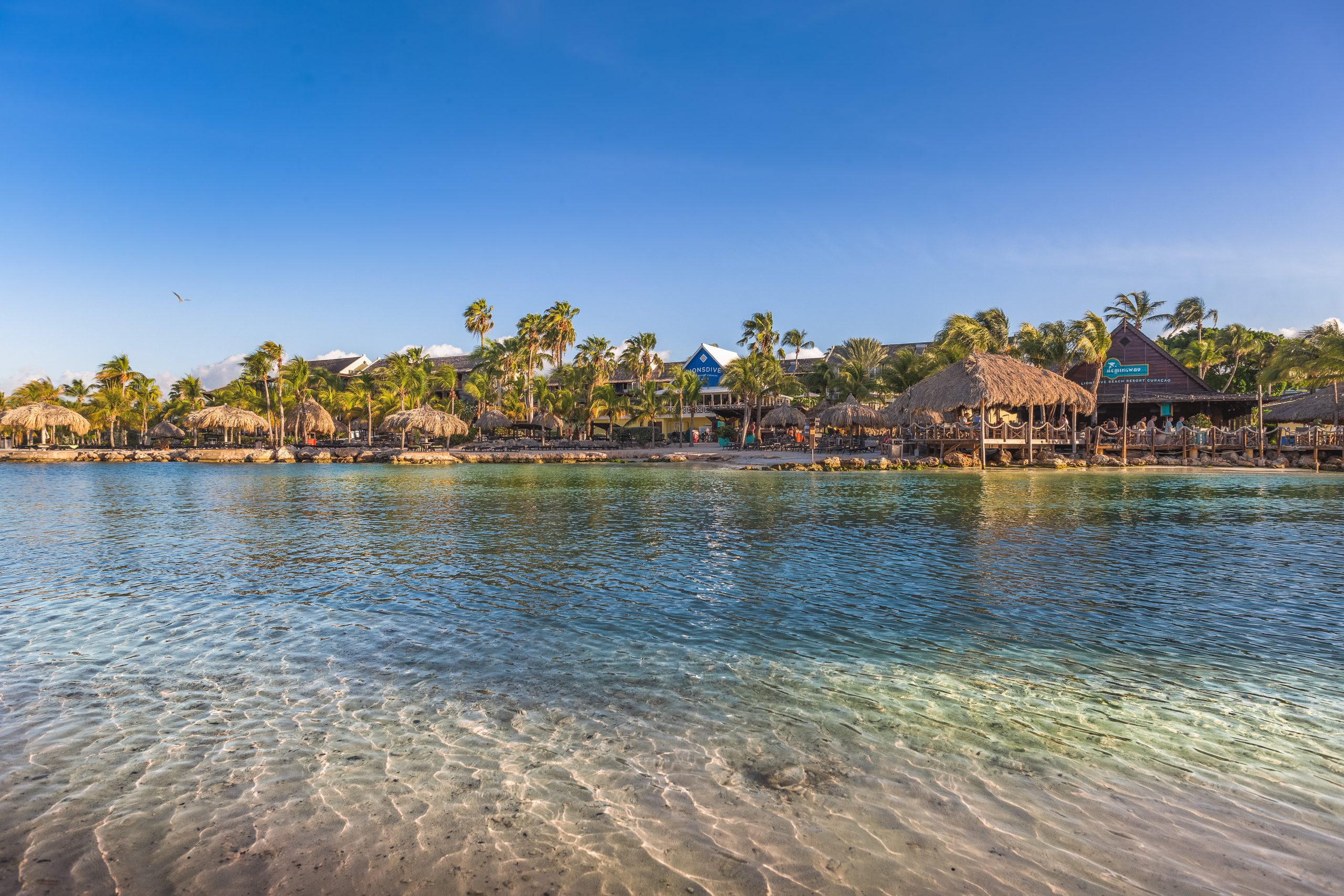 LionsDive beachfront
