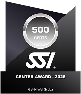 SSI - 500 Certs Center Award - 2026