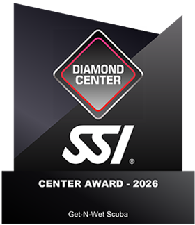 SSI - Diamond Center Award - 2026