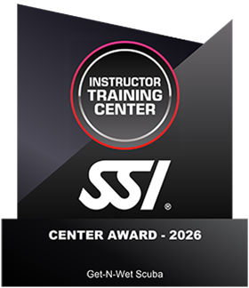 SSI - Instructor Training Center Award 2026