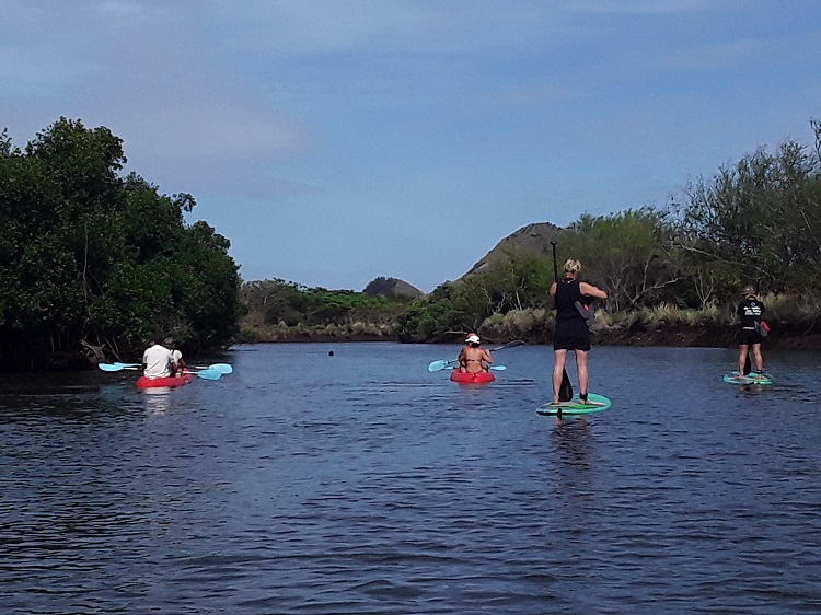 SUP and kayaks