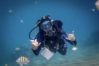 Make the sea your office as an SDI scuba instructor