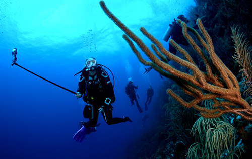 Scuba divers underwater forming a heart sign with hands