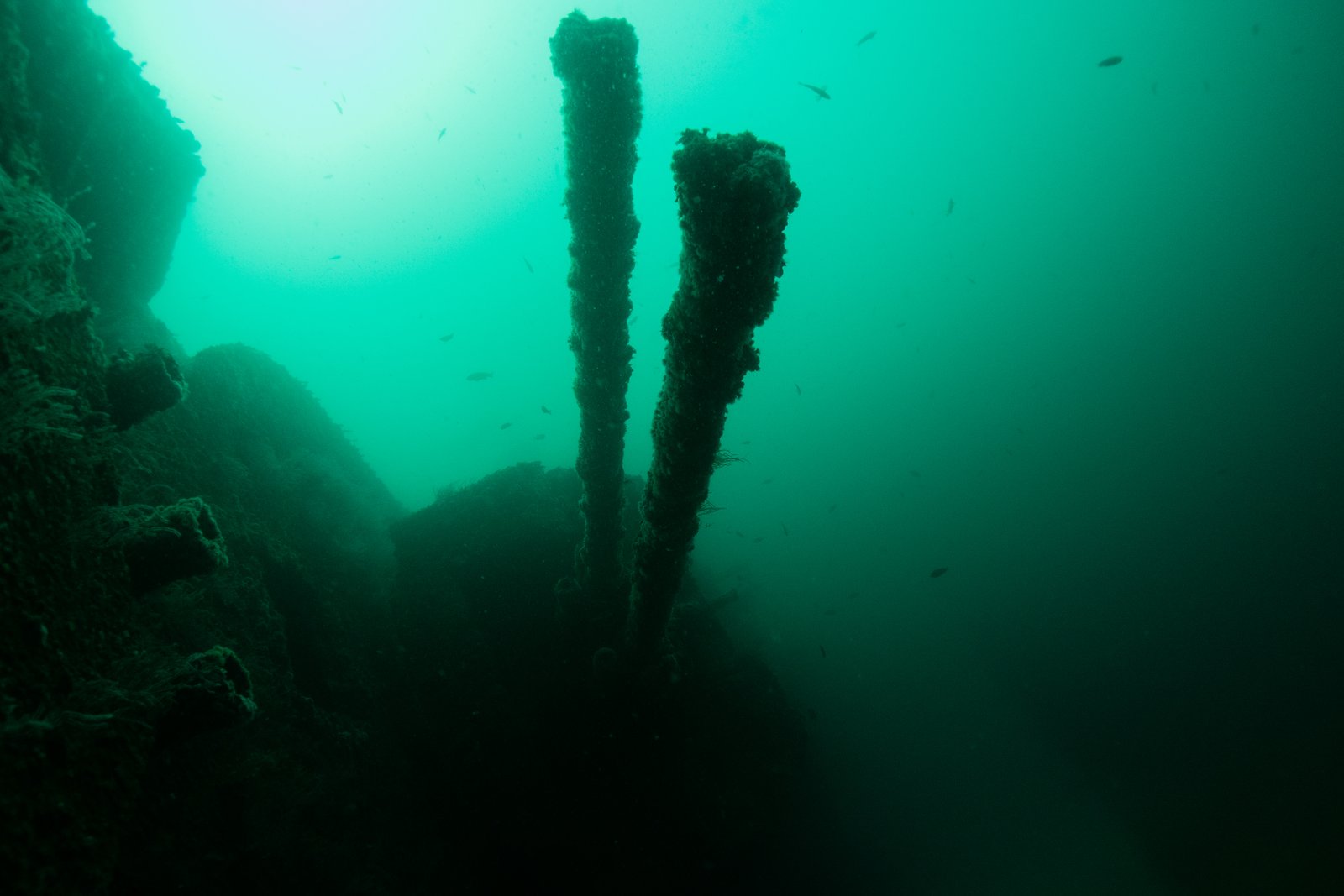 Encrusted reef pilings silhouetted in the California blue