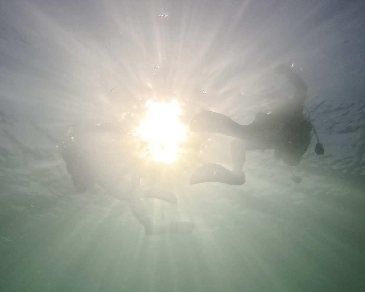 Scuba diver silhouetted against sunlight underwater at Lake Pleasant, Arizona
