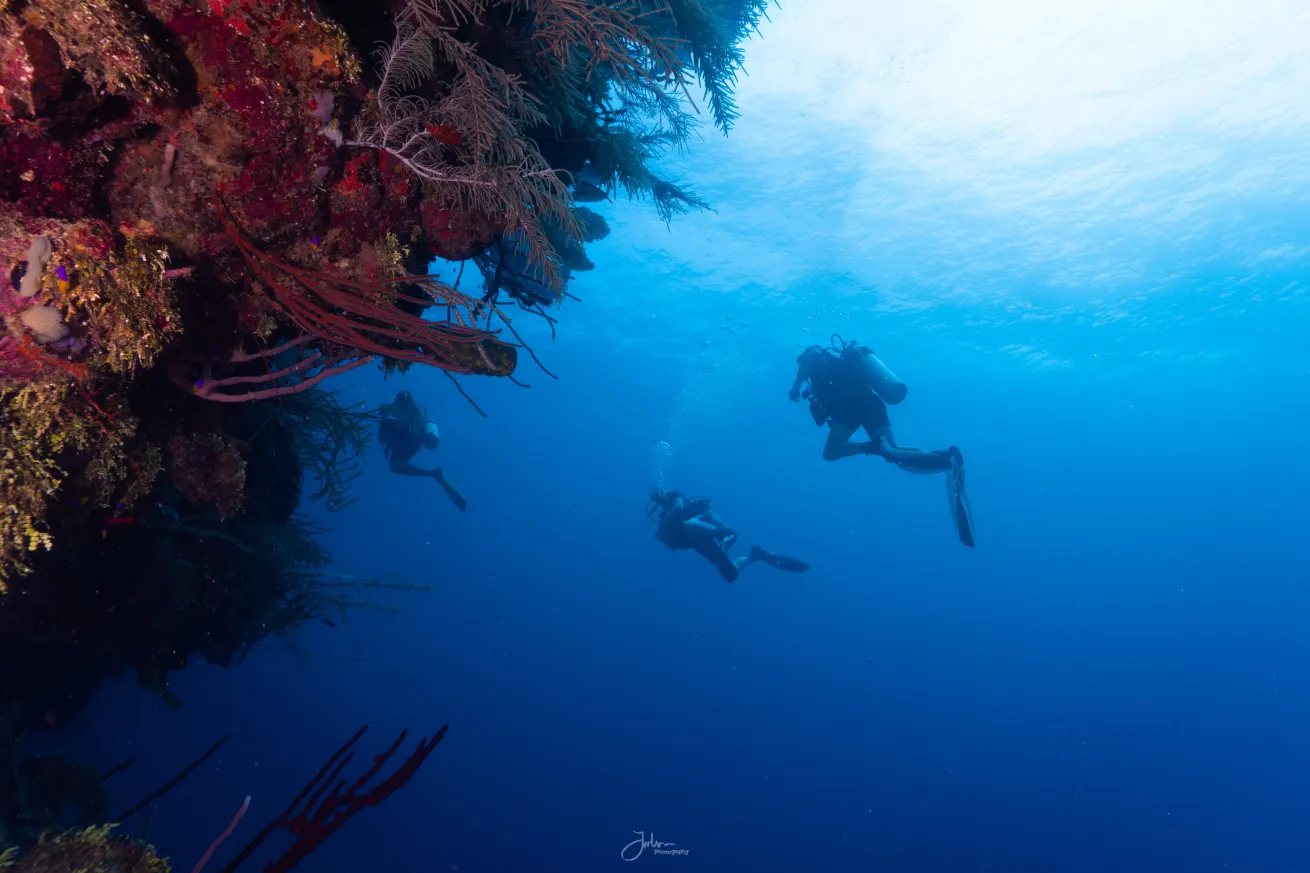 Divers on a coral wall on the Mesoamerican Reef in Roatan