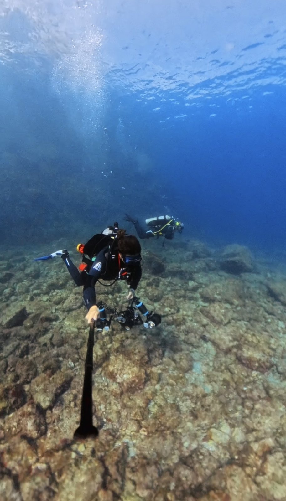 Divers at Isla San Pedro Nolasco, San Carlos