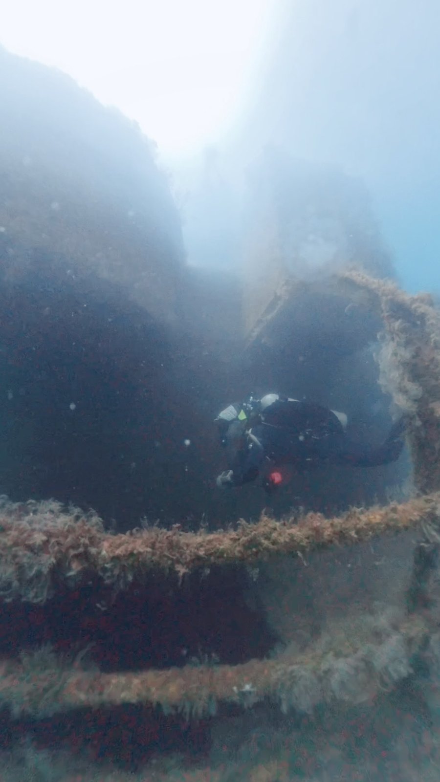 A diver exploring a wreck in San Carlos Bay