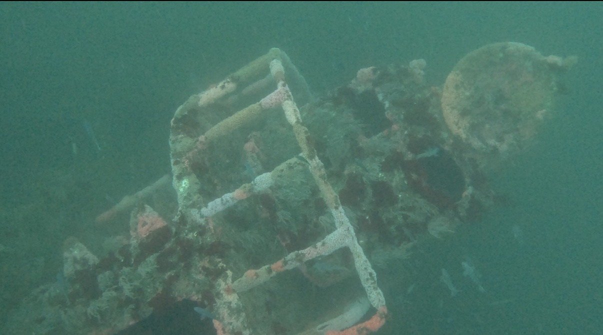 An encrusted wreck in San Diego's Wreck Alley