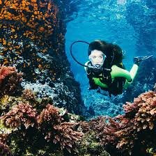 A diver framed by coral in St. Vincent
