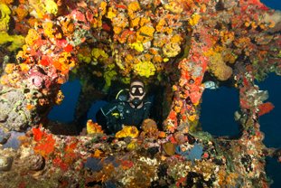 A scuba diver inside the coral-covered STENAPA tugboat wreck at St. Eustatius