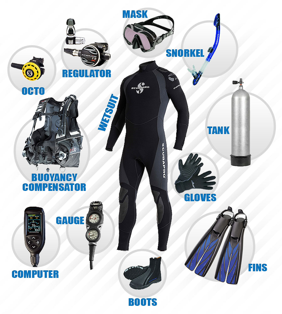 Collection Image