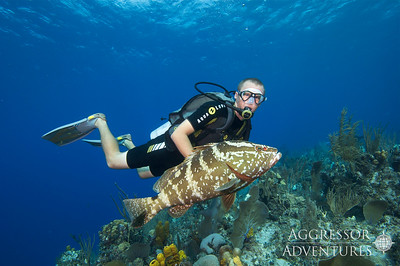 Diver with Grouper Cayman Islands
