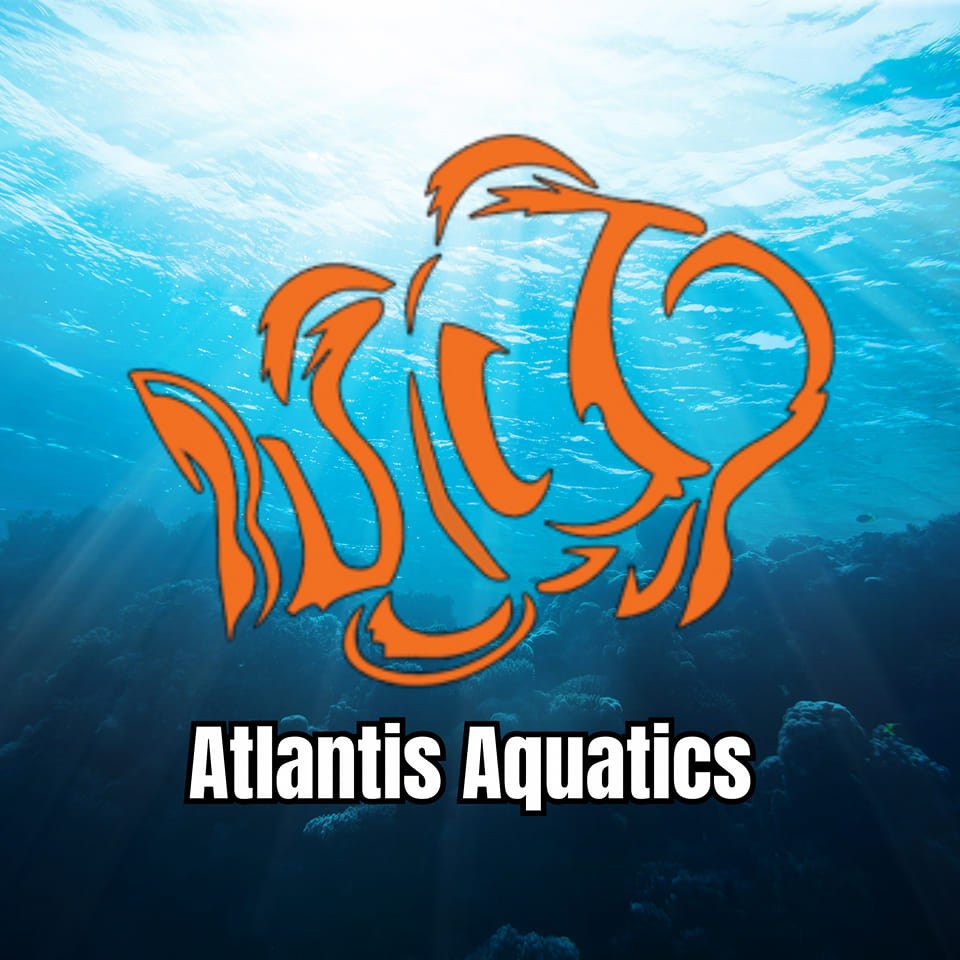 ATLANTIS AQUATICS