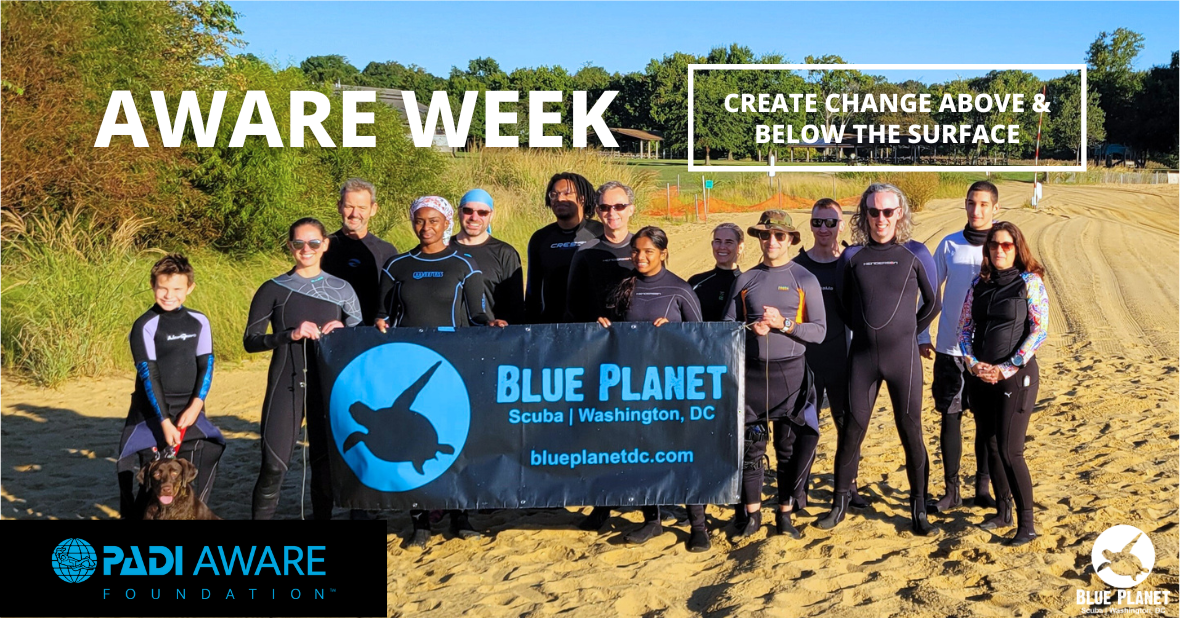 Join us for AWARE Week this year!