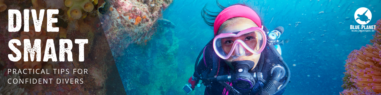 Dive Smart: Practical Tips for Confident Divers