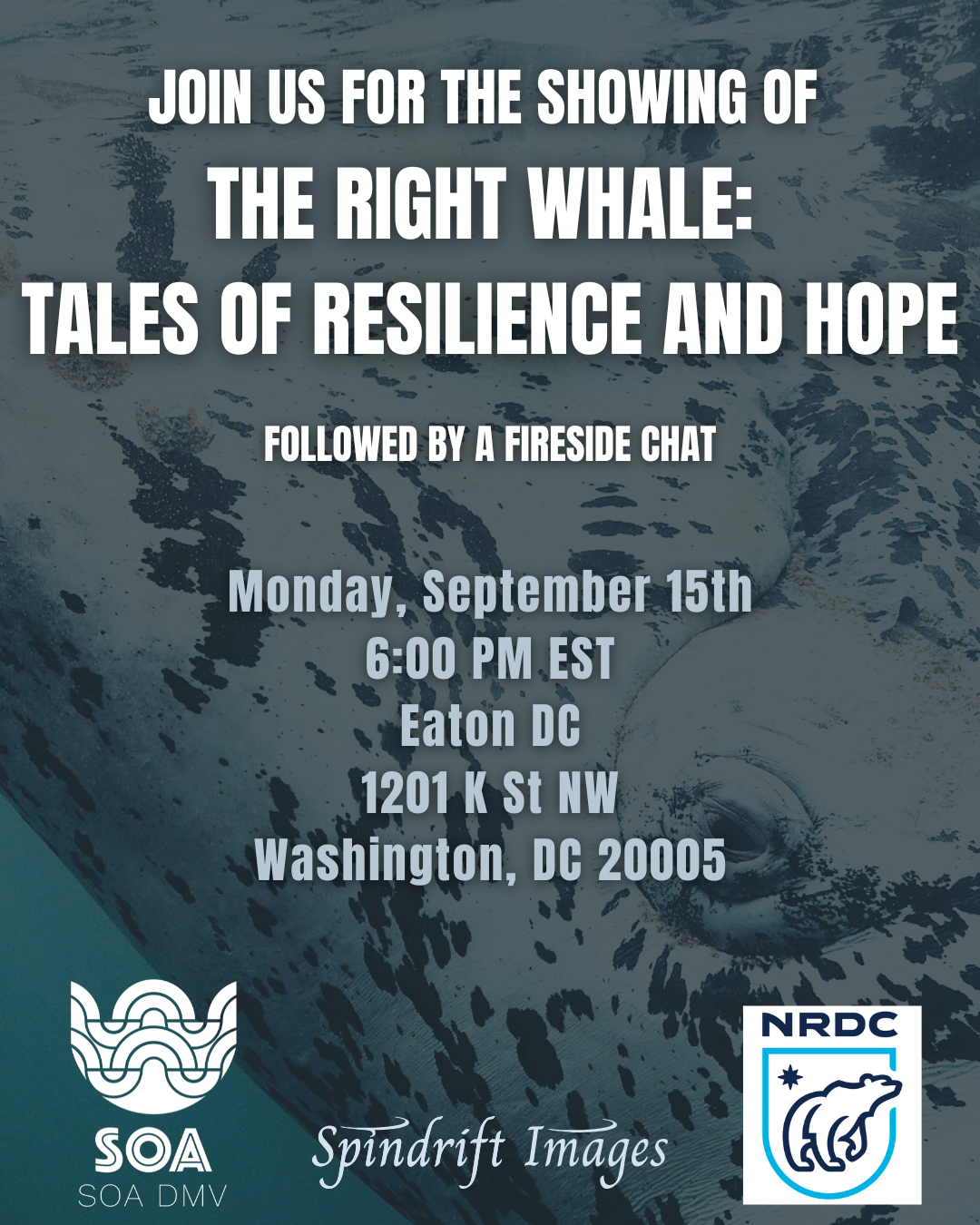 Join us for the showing of "The Right Whale: Tales of Resilience and Hope" on Monday, September 15, 2025