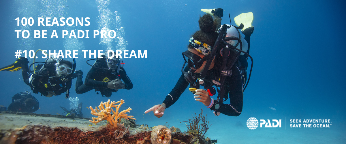 Become a PADI Pro and Share the Dream