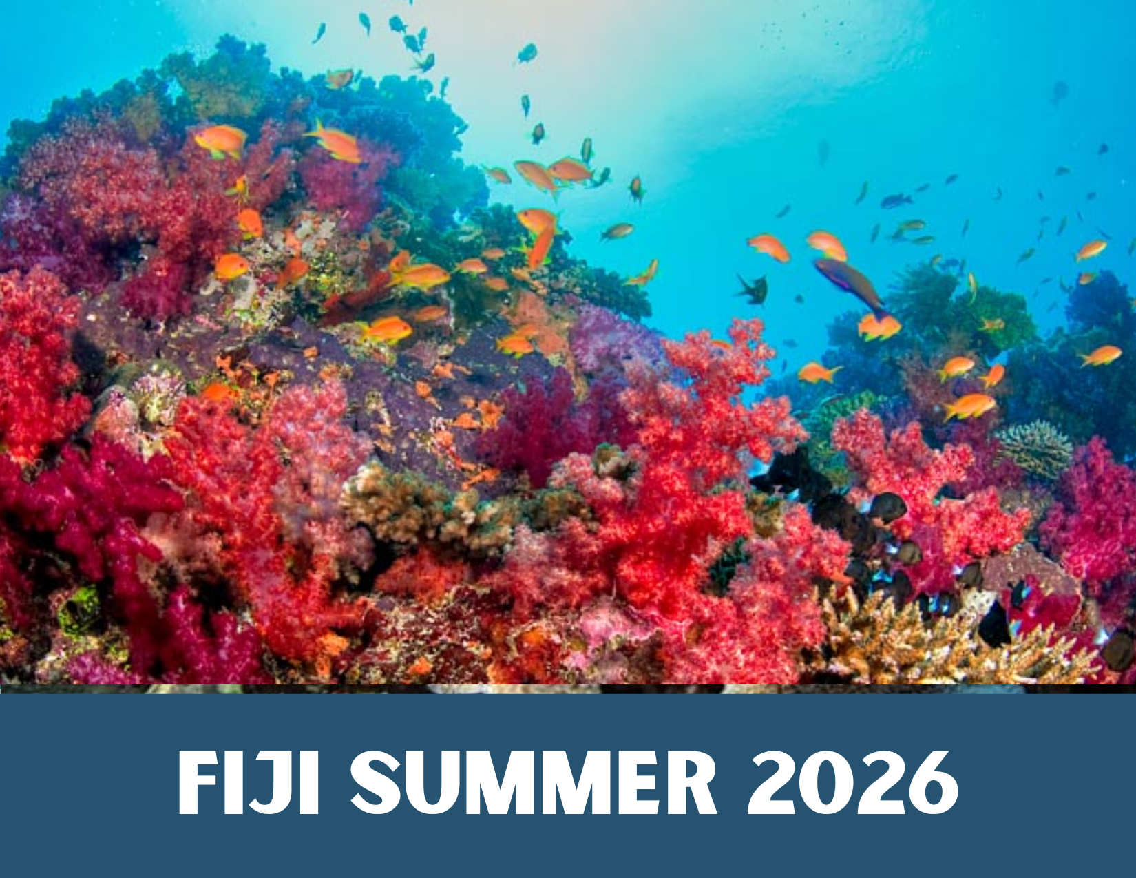 Fiji Summer 2026