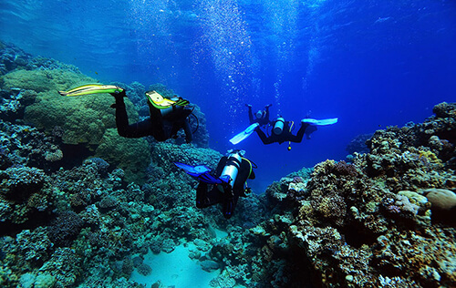 Reef diving in Kona