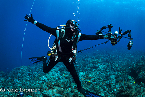 Underwater photography in Kona