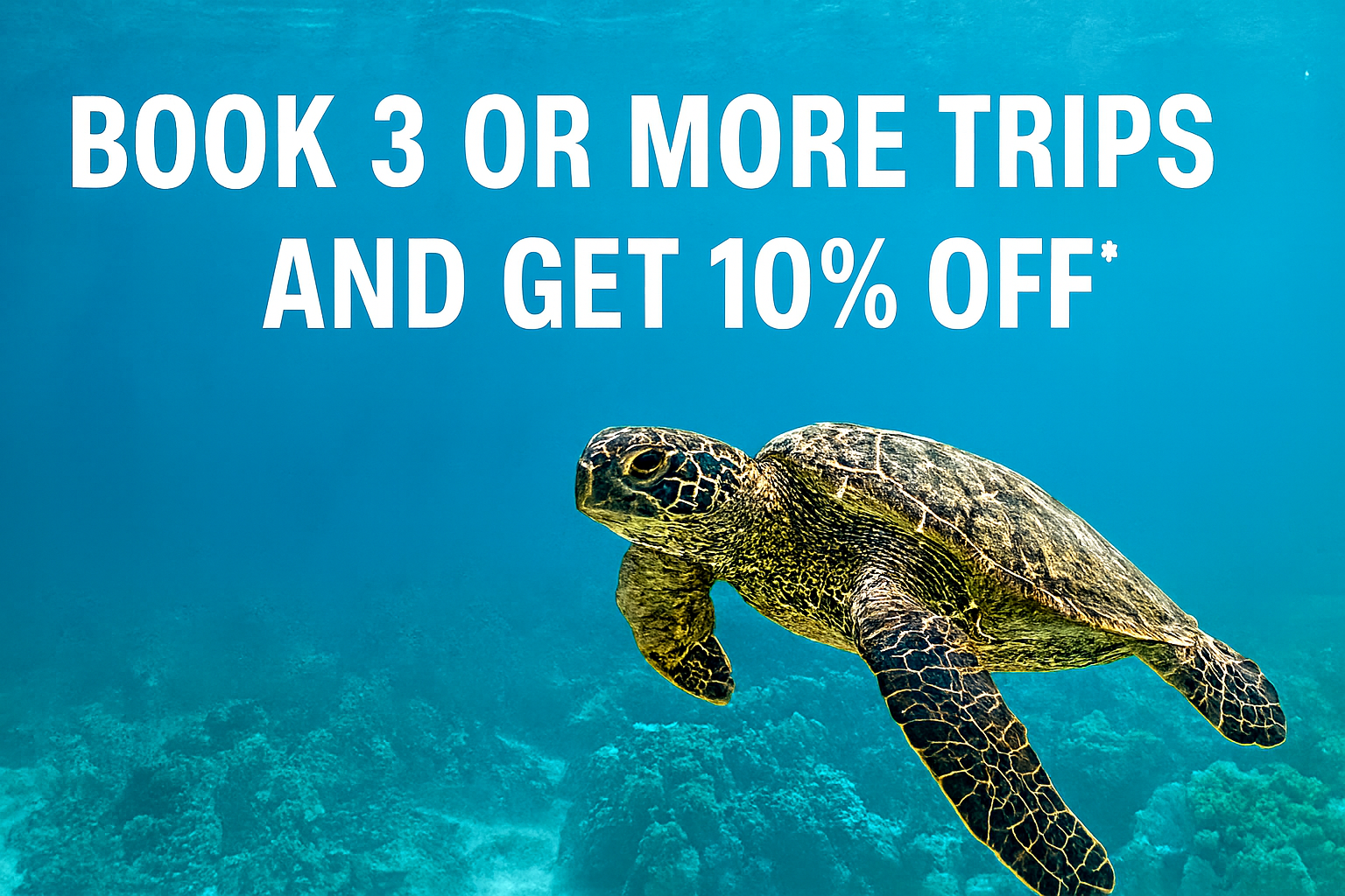 Book certified diver spots on 4 different trips and get 10% off*