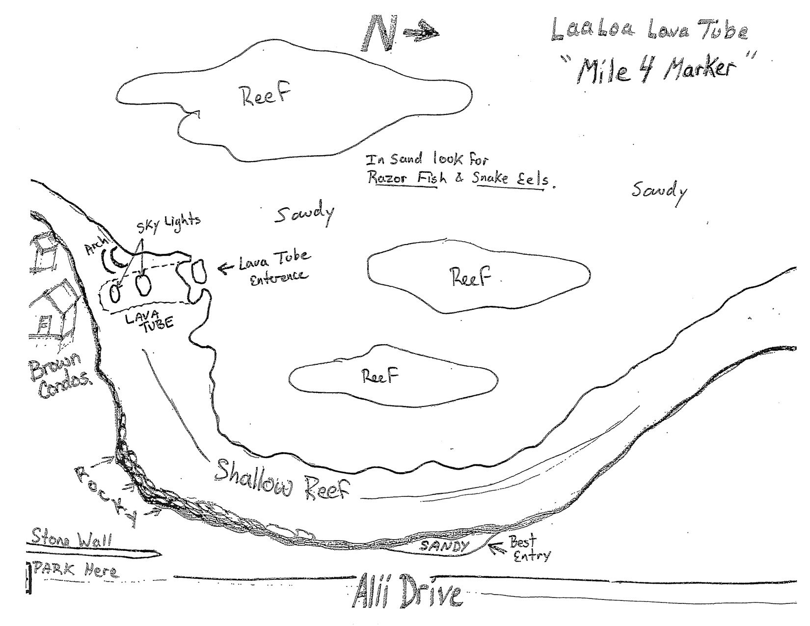 Laola