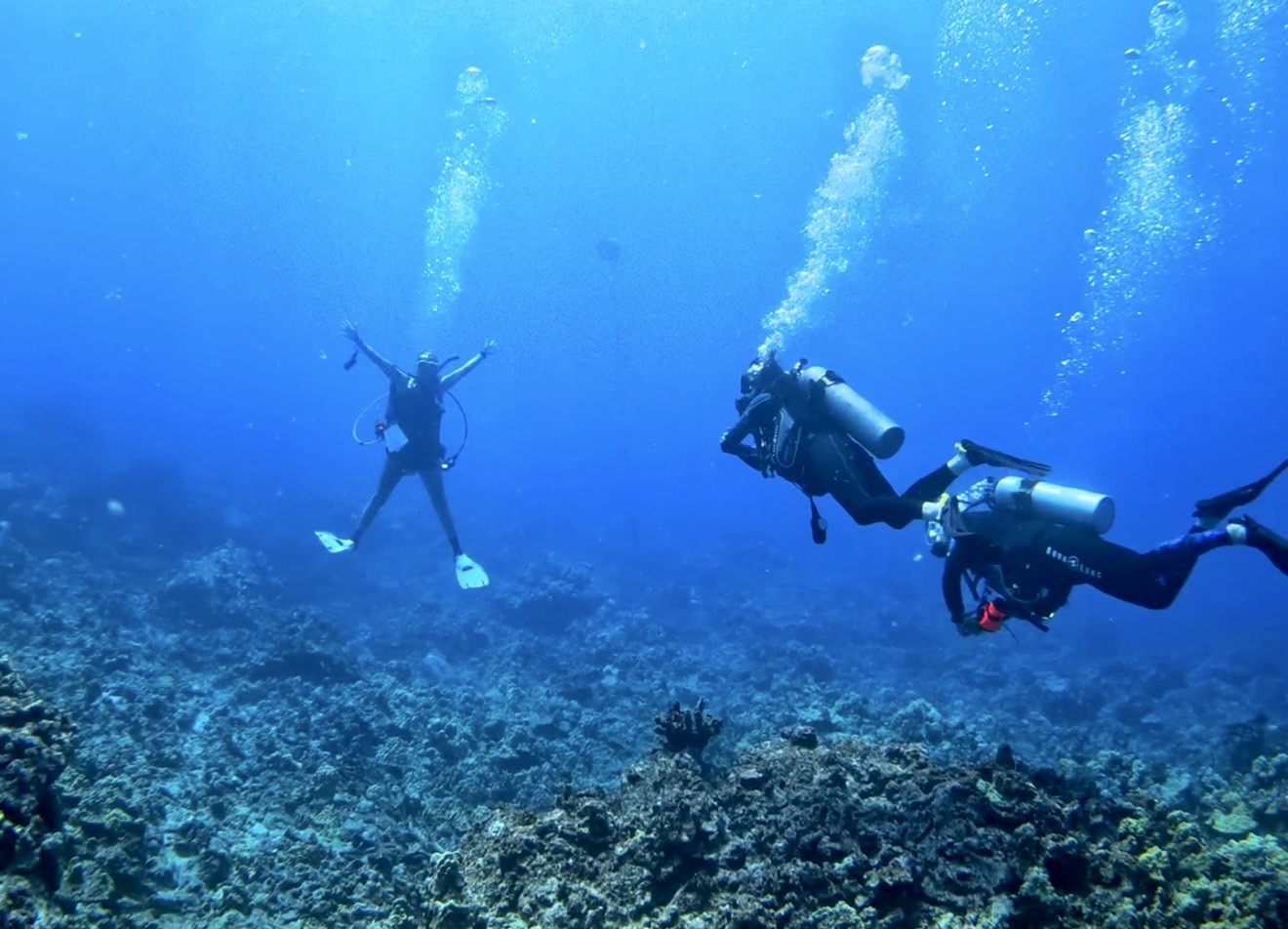 Professional diver training in Kona