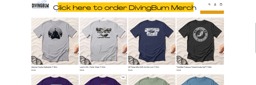 Diving bum