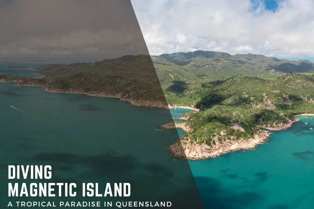 Diving Magnetic Island a Tropical Paradise in Queensland