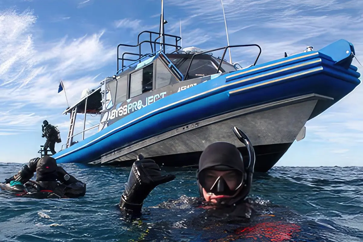 Testimonials from PADI adventure divers showcasing their experiences.