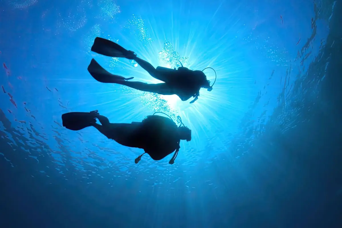 A group of divers exploring underwater during a specialty adventure dive.