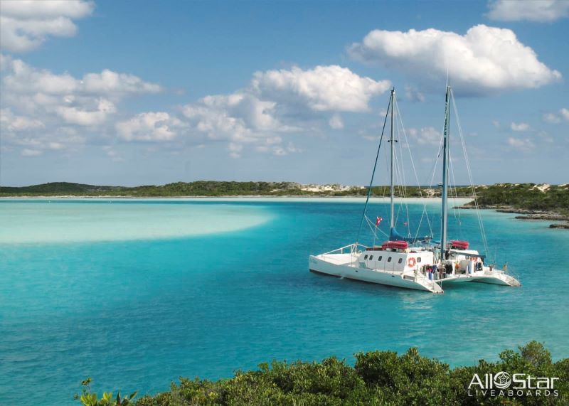 Cat-Ppalu-Bahamas