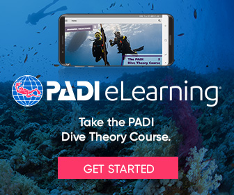 Dive Theory Online