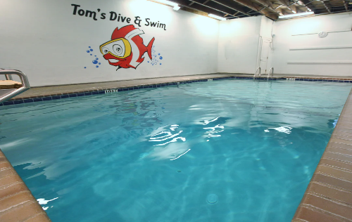 Tom’s Dive & Swim’s 90°F heated indoor pool in Austin, TX.