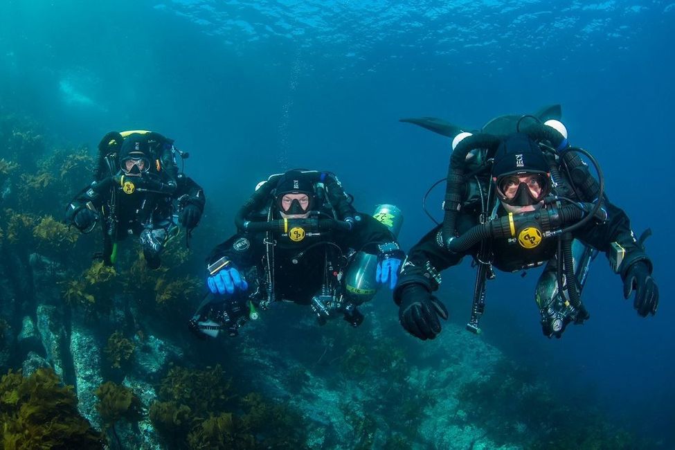 Global Dive courses