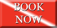 BOOK your night dive with St Croix SCUBA here