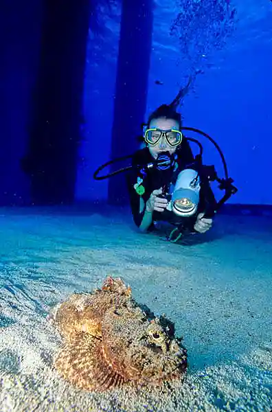 A Scorpion fish on an underwater scuba dive at the famous Frederiksted Pier on St. Croix Virgin Islands