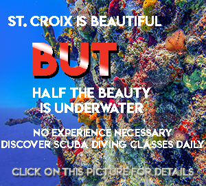 Discover SCUBA Diving St Croix SCUBA Virgin Islands