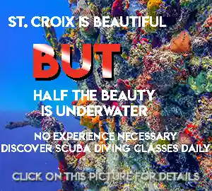 Discover SCUBA diving with St. Croix Ultimate Bluewater Adventures