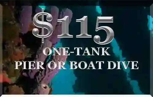 Price for one tank boat or pier scuba dive with st croix ultimate bluewater adventures
